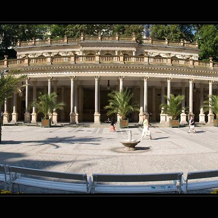 Pension Napoleon كارلوفي فاري المظهر الخارجي الصورة