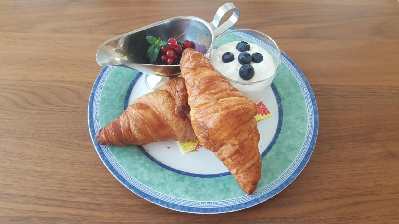 Pension Napoleon كارلوفي فاري المظهر الخارجي الصورة